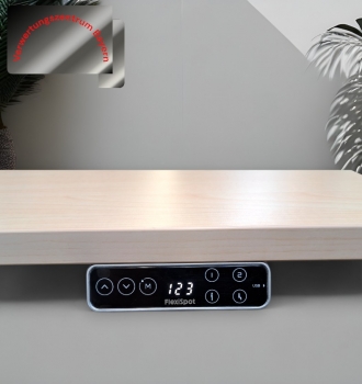 Preview: NEUWARE - Schreibtisch - elektrisch - Ahorn - 160x80