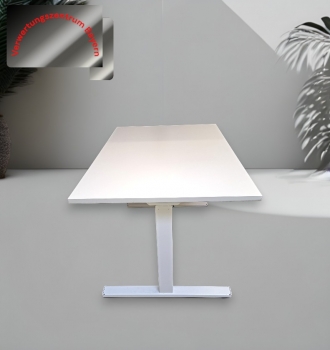 Linak - Schreibtisch elektrisch höhenverstellbar - weiß - 120x80