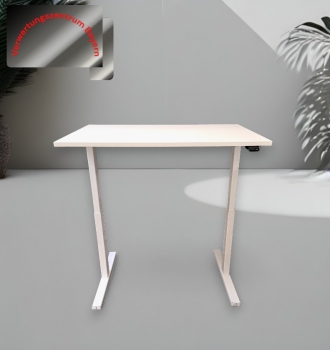 Linak - Schreibtisch elektrisch höhenverstellbar - weiß - 120x80