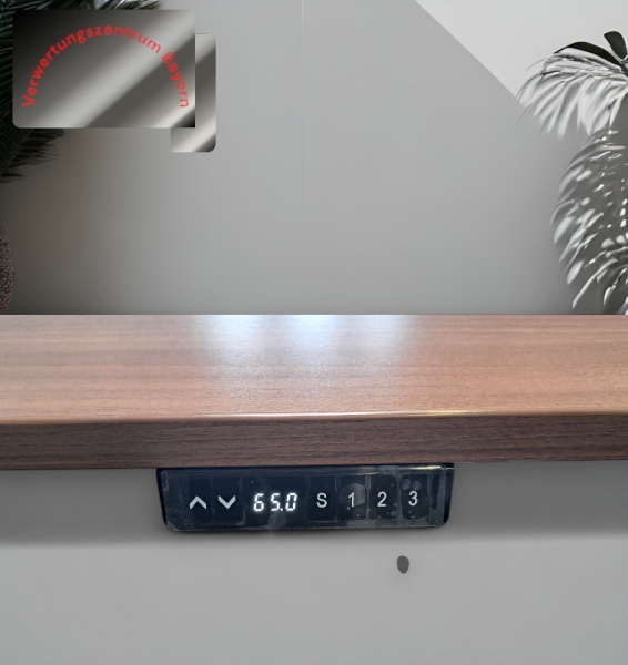 Hausmarke - Schreibtisch elektrisch höhenverstellbar - nussbaum - 160x80